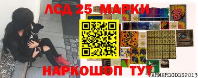 скорость Кимры