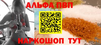 спайс Кингисепп