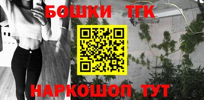 спайс Кингисепп