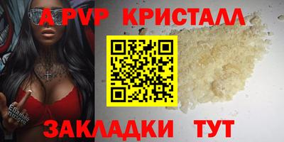 спайс Кингисепп