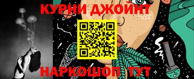 спайс Кингисепп