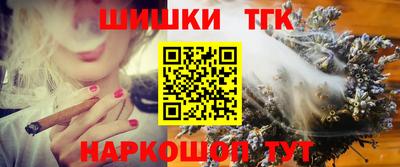 спайс Кингисепп