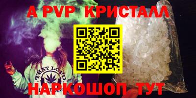 спайс Кингисепп