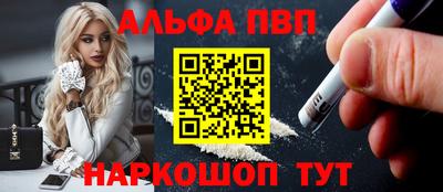 спайс Кингисепп
