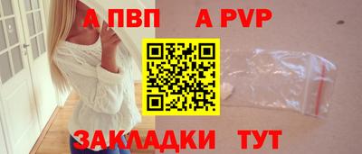 спайс Кингисепп