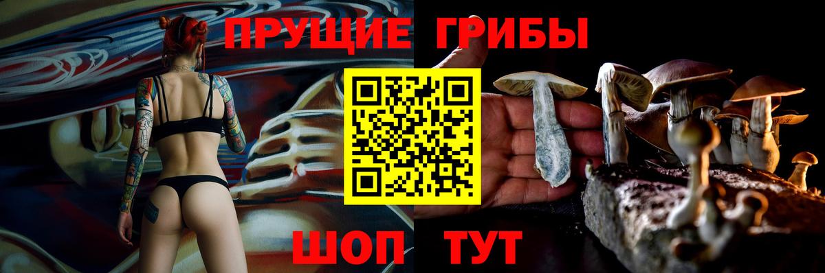Псилоцибиновые грибы GOLDEN TEACHER  Вход с VPN  Псилоцибиновые грибы ЛСД  Чусовой 