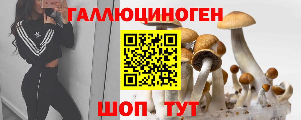 Галлюциногенные грибы ЛСД Чусовой